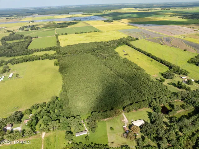 $55,000 | Tbd Jolene Road, Basile, LA 70515