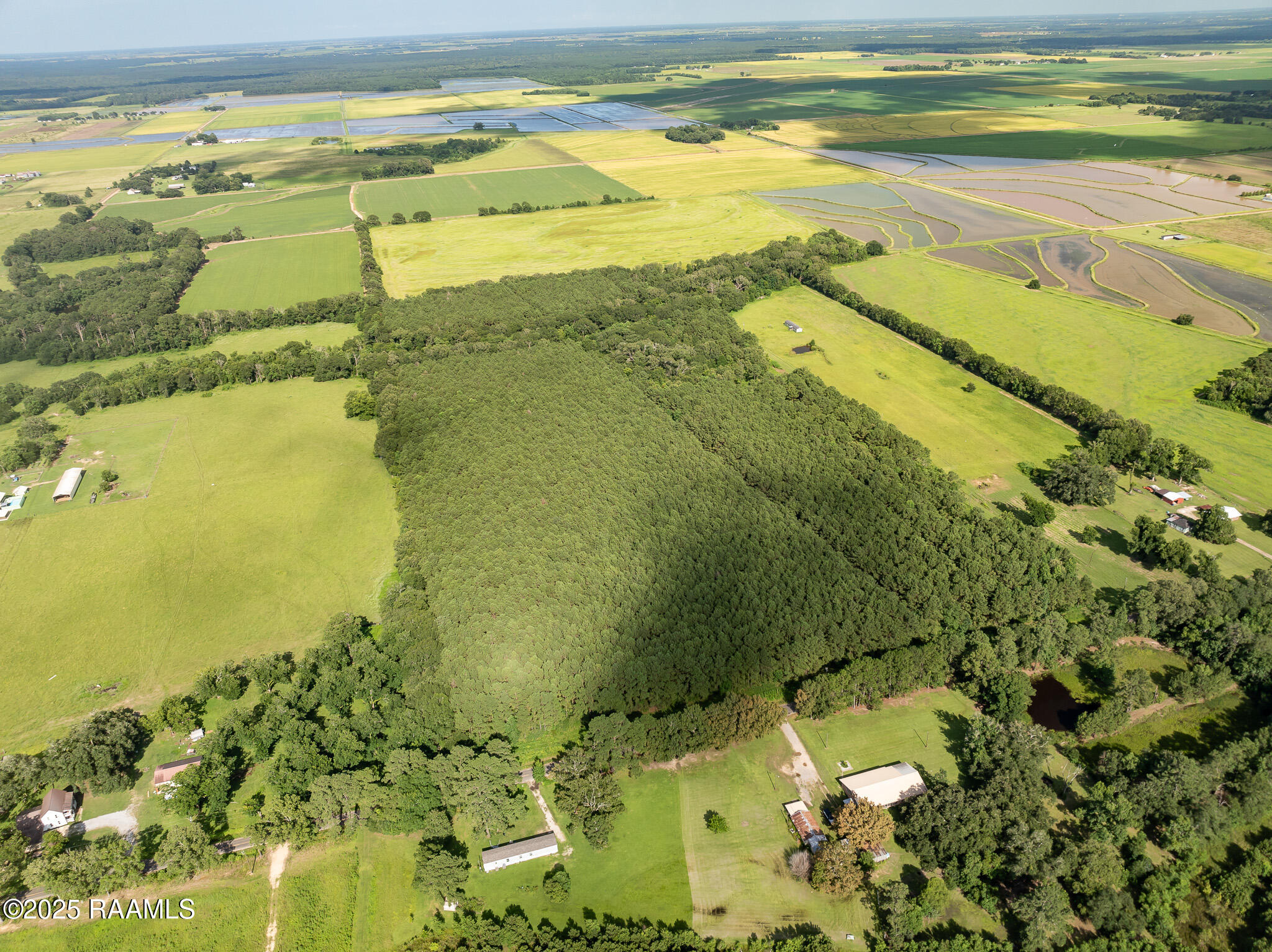 Tbd Jolene Road Basile, LA 70515 - Photo 6 of 14 DJI_0325