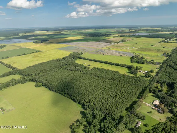 $55,000 | Tbd Jolene Road, Basile, LA 70515