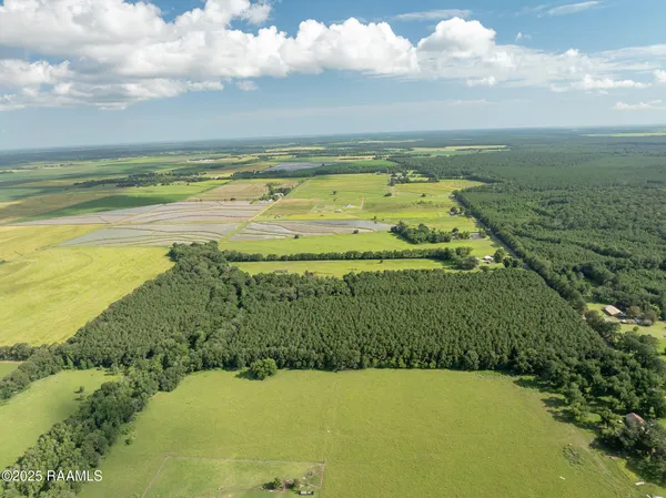 $55,000 | Tbd Jolene Road, Basile, LA 70515