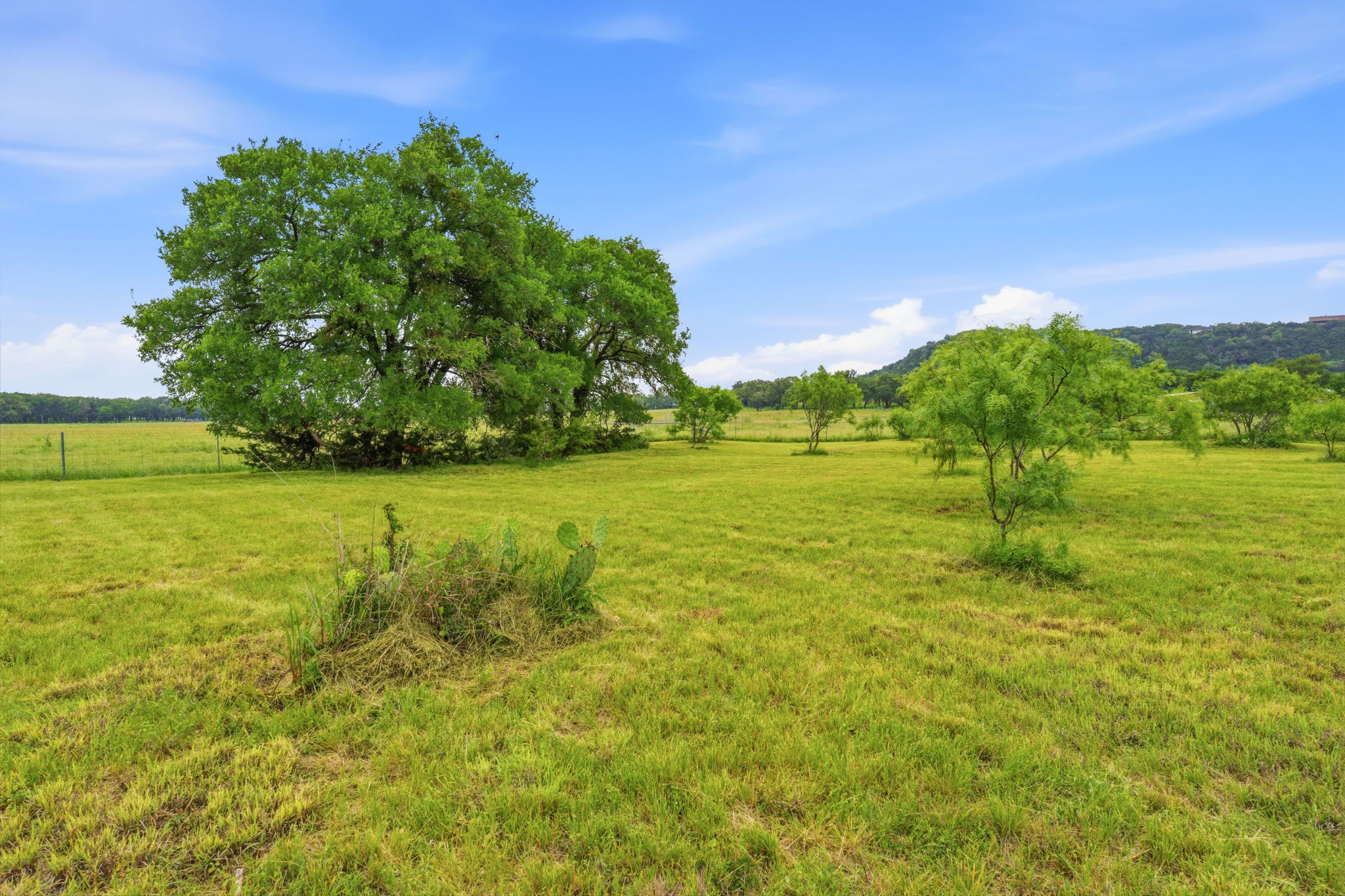 104 Round Up Circle Burnet, TX 78611 - Photo 9 of 23 Expansive green pasture with a bright blue sky
