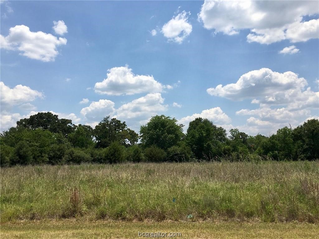 Tbd Crown Point Iola, TX 77861 - Photo 11 of 19 a view of a big yard