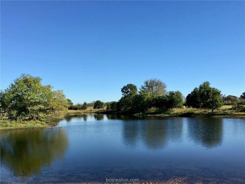 Tbd Crown Point Iola, TX 77861 - Photo 13 of 19 a lake view with boat and palm trees