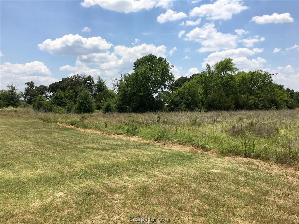 Tbd Crown Point Iola, TX 77861 - Photo 7 of 19 a view of a lake view