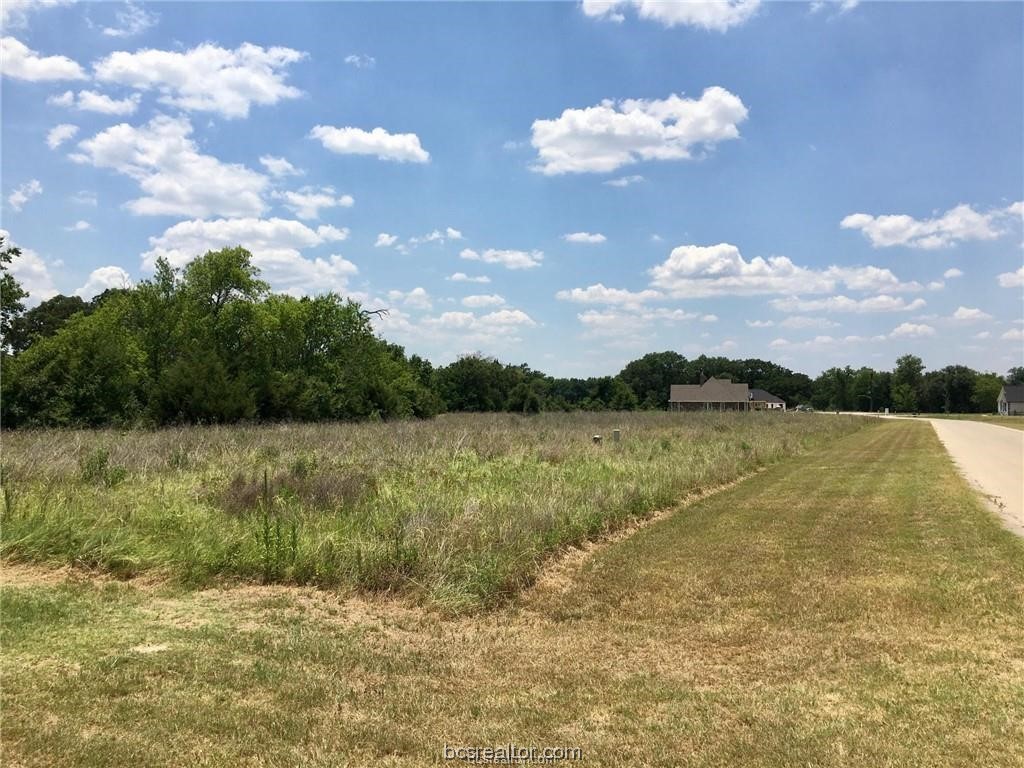 Tbd Crown Point Iola, TX 77861 - Photo 8 of 19 a view of lake
