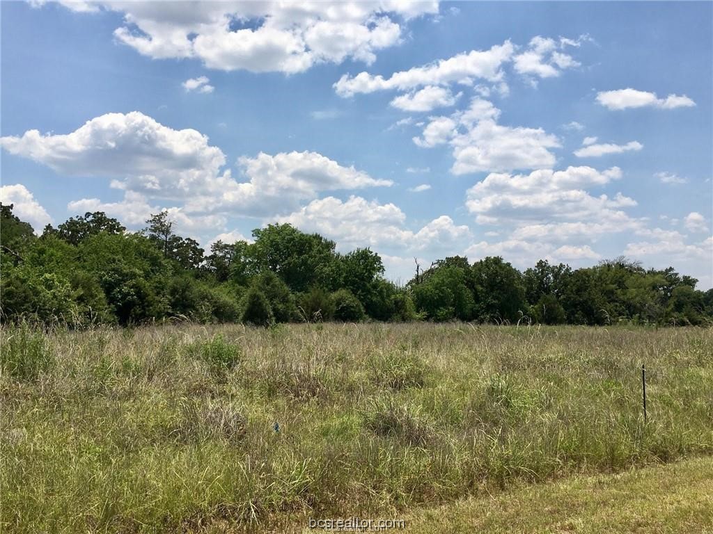 Tbd Crown Point Iola, TX 77861 - Photo 9 of 19 a view of a field with trees in the background