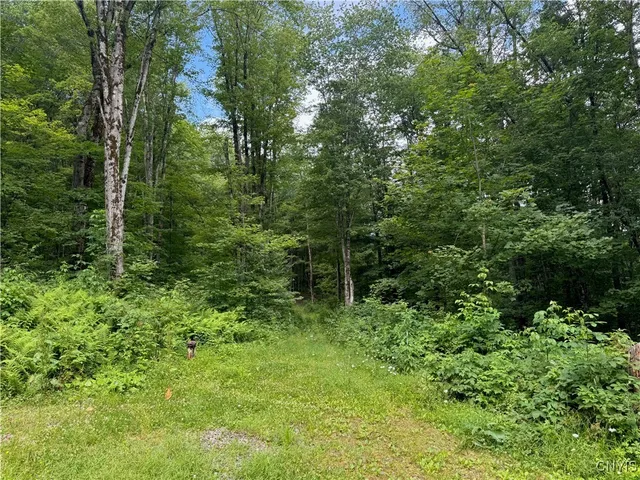 $289,900 | 521-523 Hyer Road, North Pitcher, NY 13124