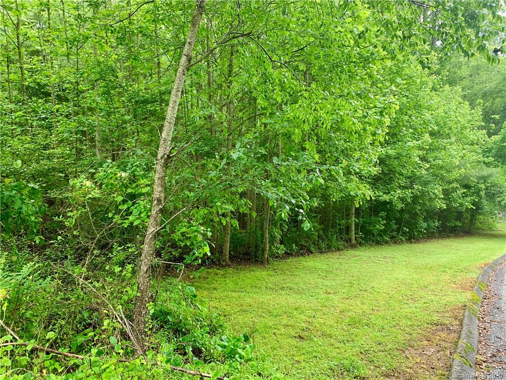 Off Fisher Road Brevard, NC 28712 - Photo 1 of 11 Gallery Image 1