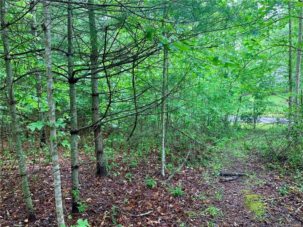 Off Fisher Road Brevard, NC 28712 - Photo 2 of 11 Gallery Image 2