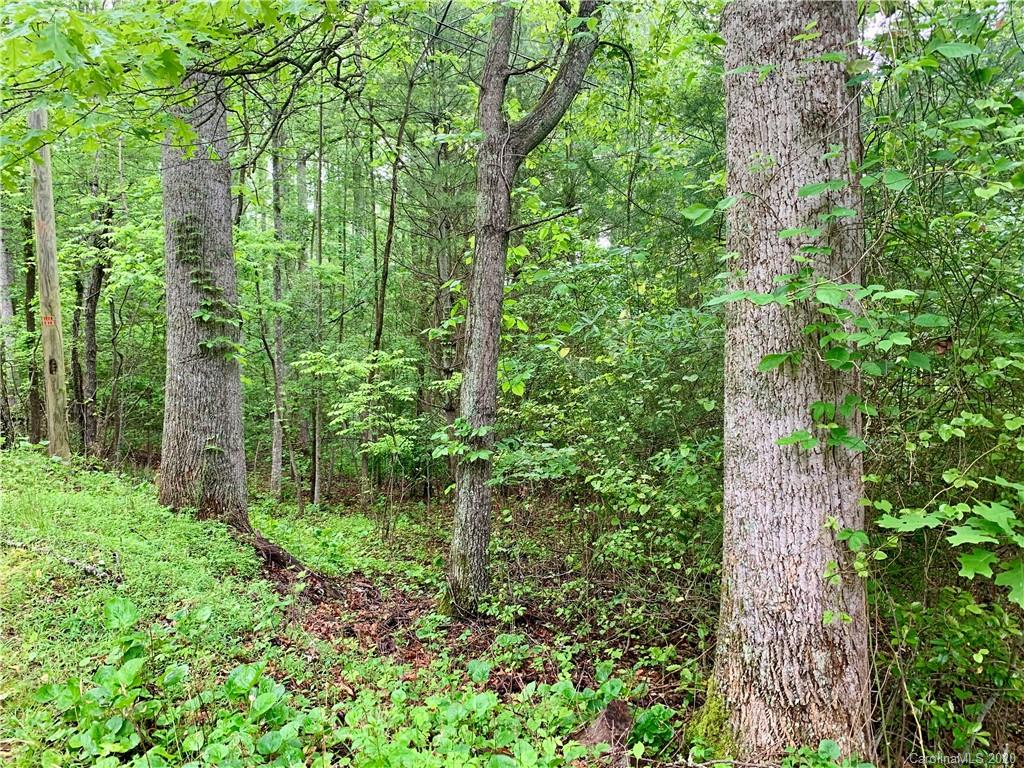 Off Fisher Road Brevard, NC 28712 - Photo 3 of 11 Gallery Image 3