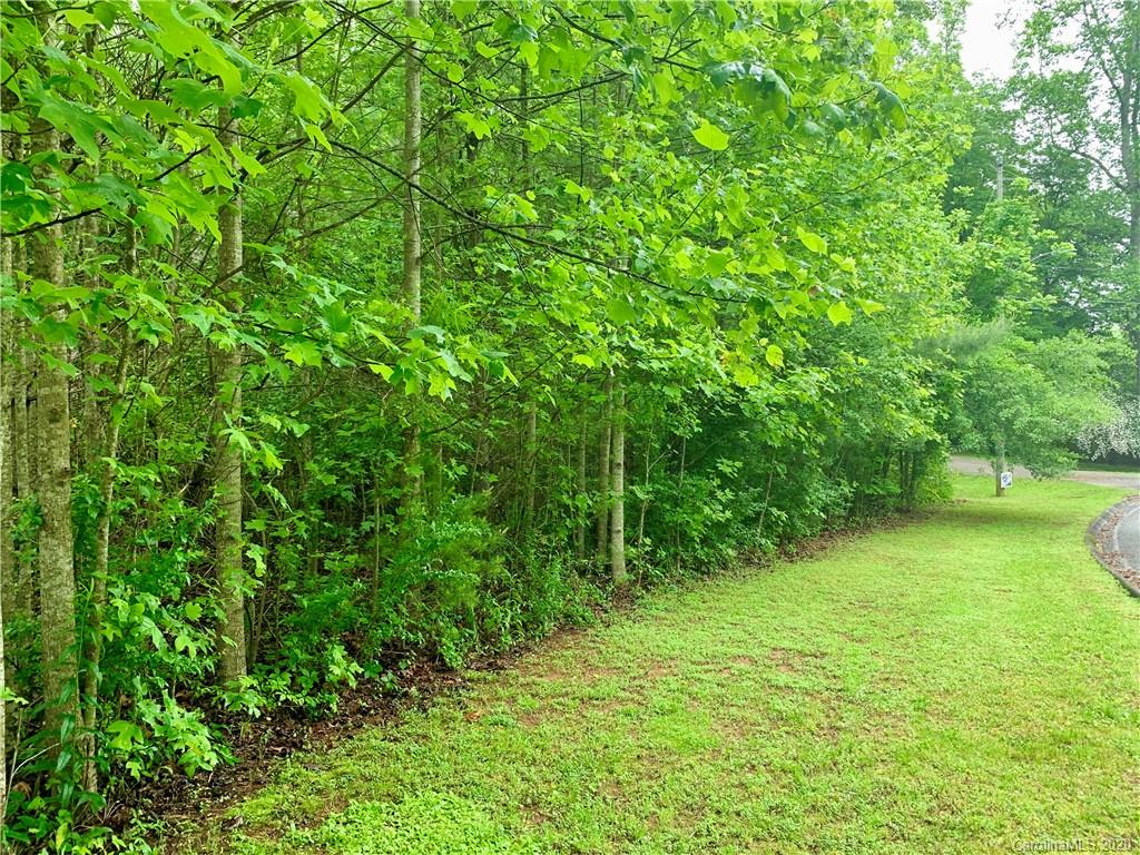 Off Fisher Road Brevard, NC 28712 - Photo 5 of 11 Gallery Image 5