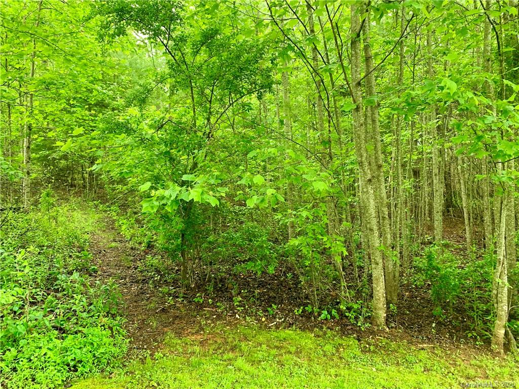 Off Fisher Road Brevard, NC 28712 - Photo 6 of 11 Gallery Image 6