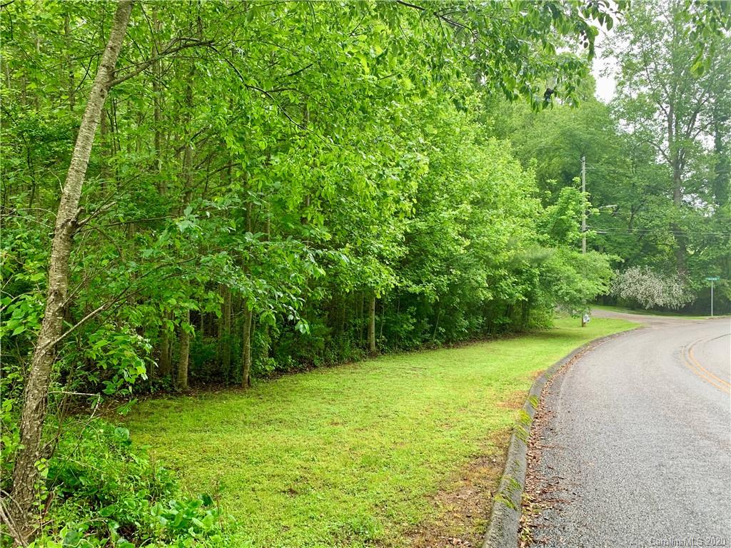 Off Fisher Road Brevard, NC 28712 - Photo 7 of 11 Gallery Image 7