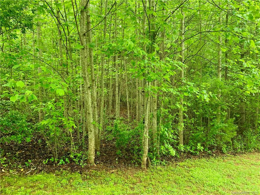 Off Fisher Road Brevard, NC 28712 - Photo 8 of 11 Gallery Image 8