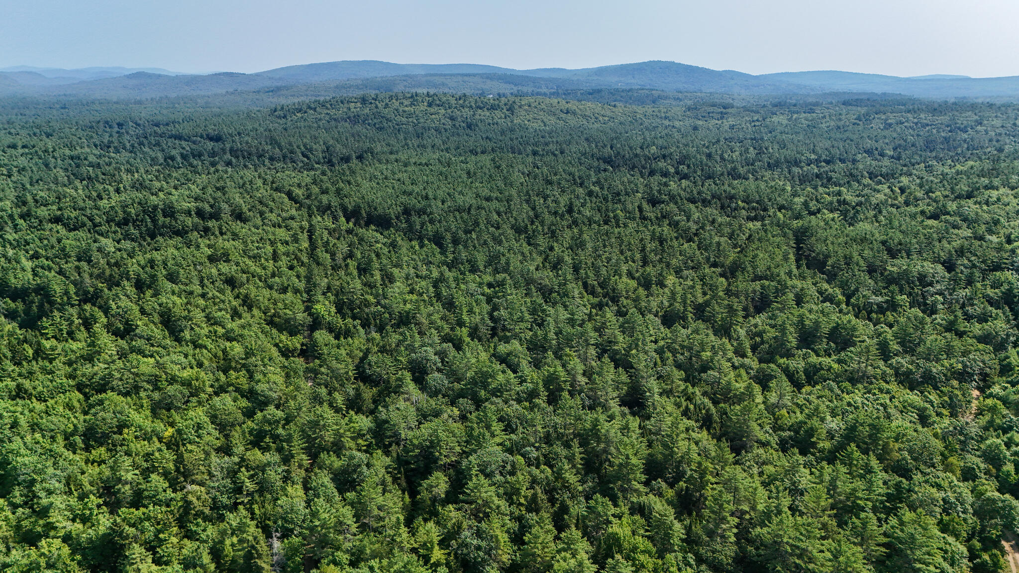 Lot #18 Ellis Road Harrison, ME 04040 - Photo 4 of 11 land-2_(2048)