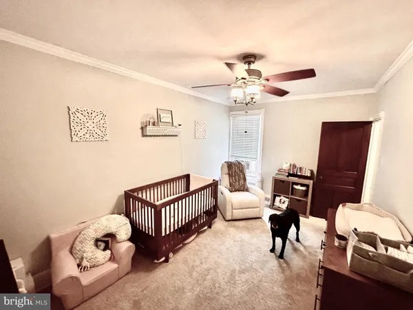 a livingroom with furniture and a ceiling fan