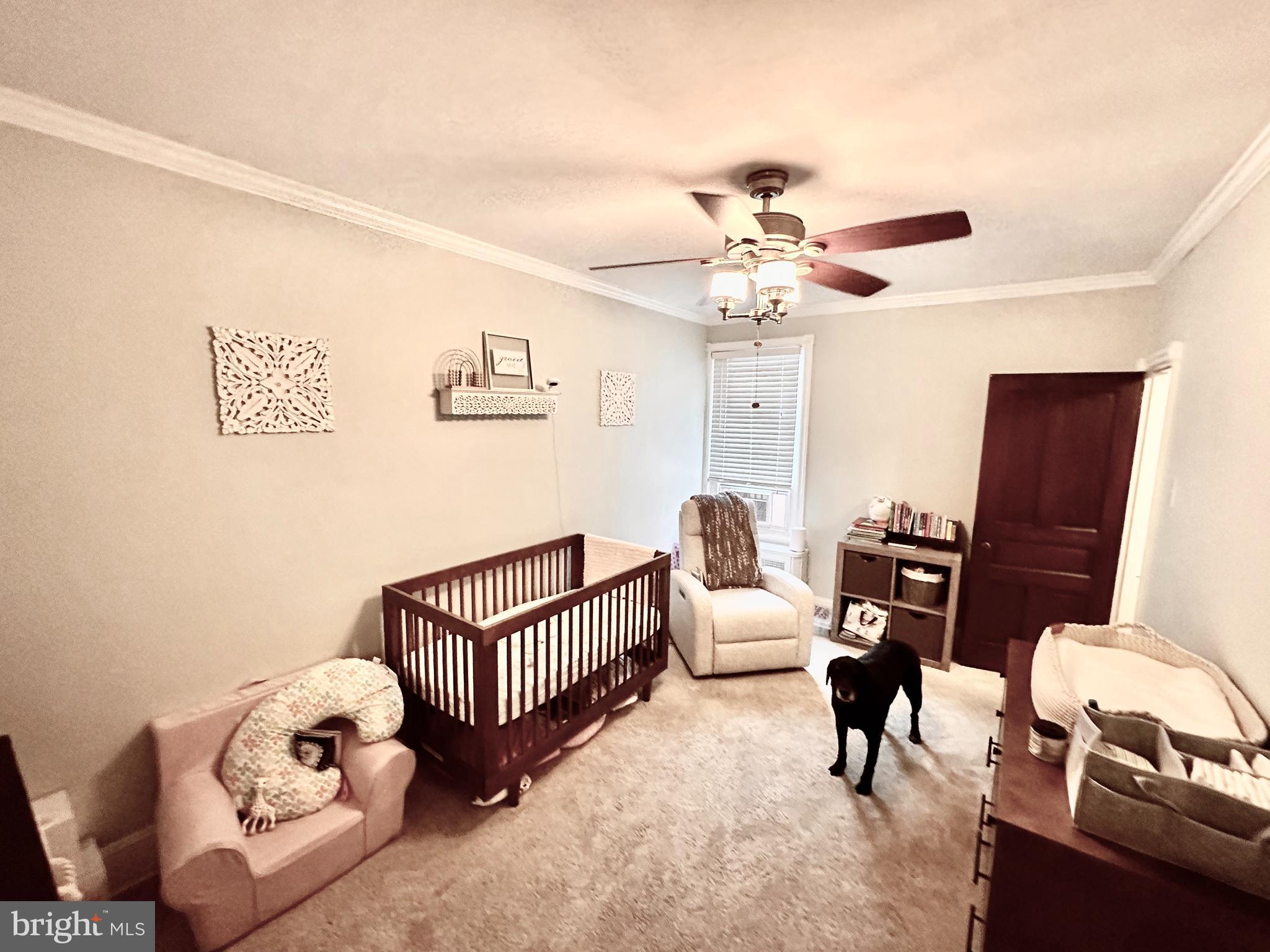 4531 Wilde Street Philadelphia, PA 19127 - Photo 18 of 23 a livingroom with furniture and a ceiling fan
