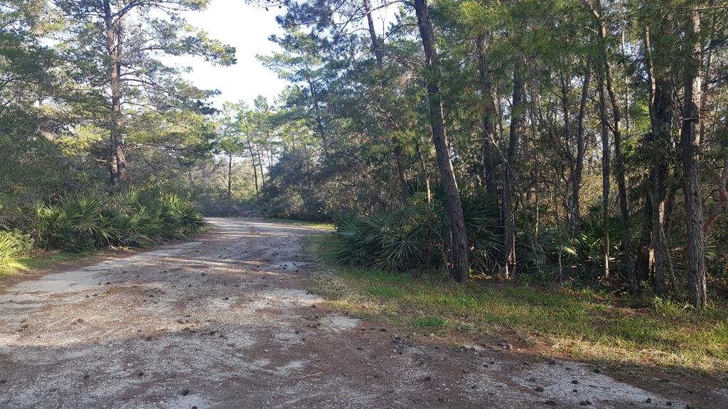 298 Woodill Road Carrabelle, FL 32322 - Photo 20 of 31 Gallery Image 20