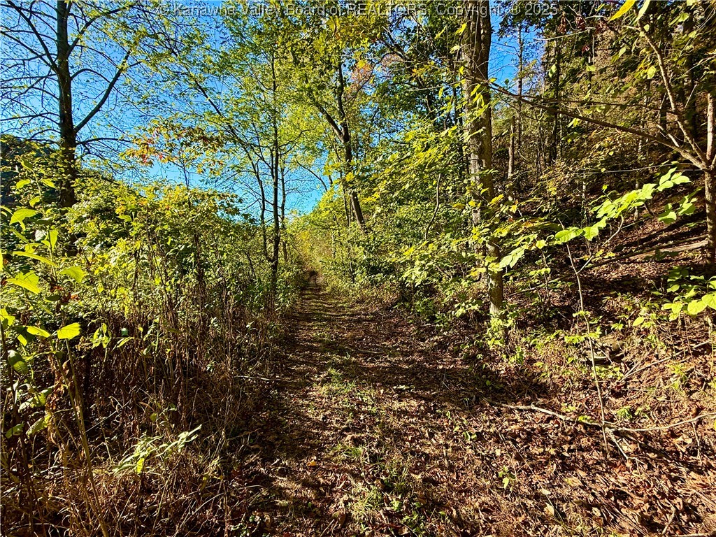 0 Harmons Creek Road Poca, WV 25159 - Photo 12 of 16 Gallery Image 12