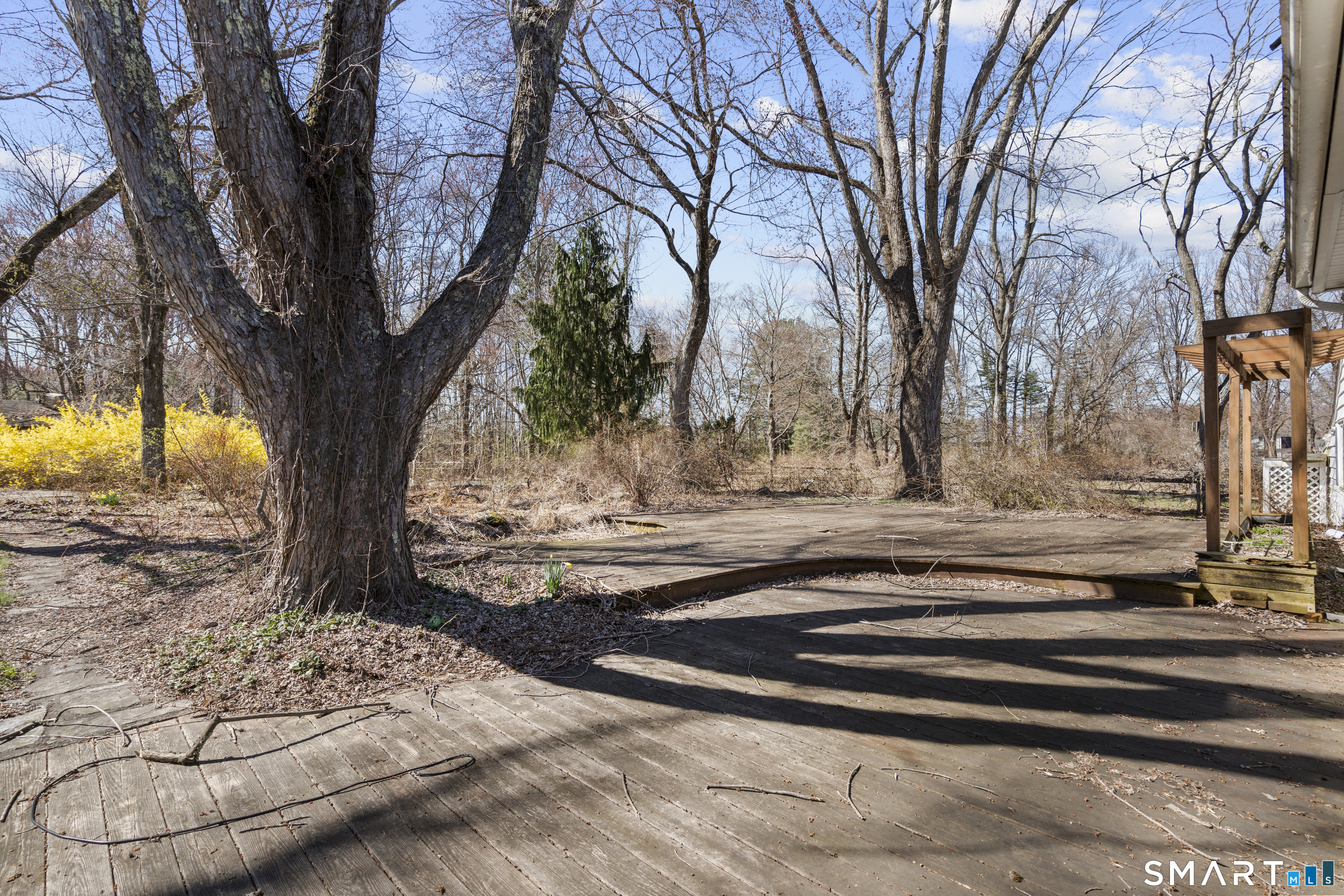 835 Monroe Turnpike Monroe, CT 06468 - Photo 37 of 39
