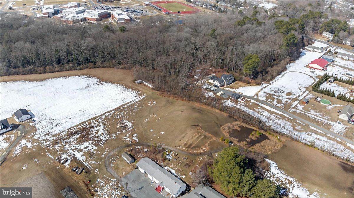 32076 Gordy Road Laurel, DE 19956 - Photo 12 of 26 a view of a yard with a tree
