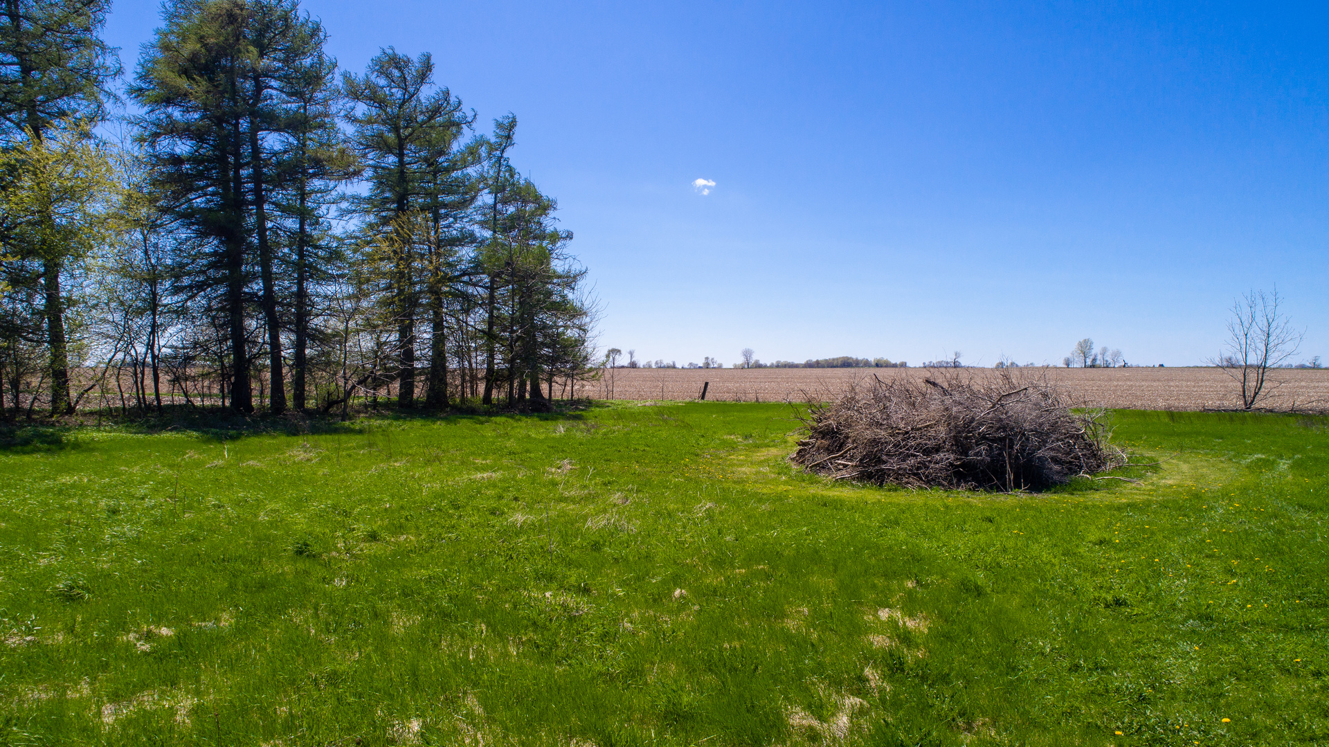 42W671 Jericho Road Sugar Grove, IL 60554 - Photo 12 of 31 a view of garden with trees