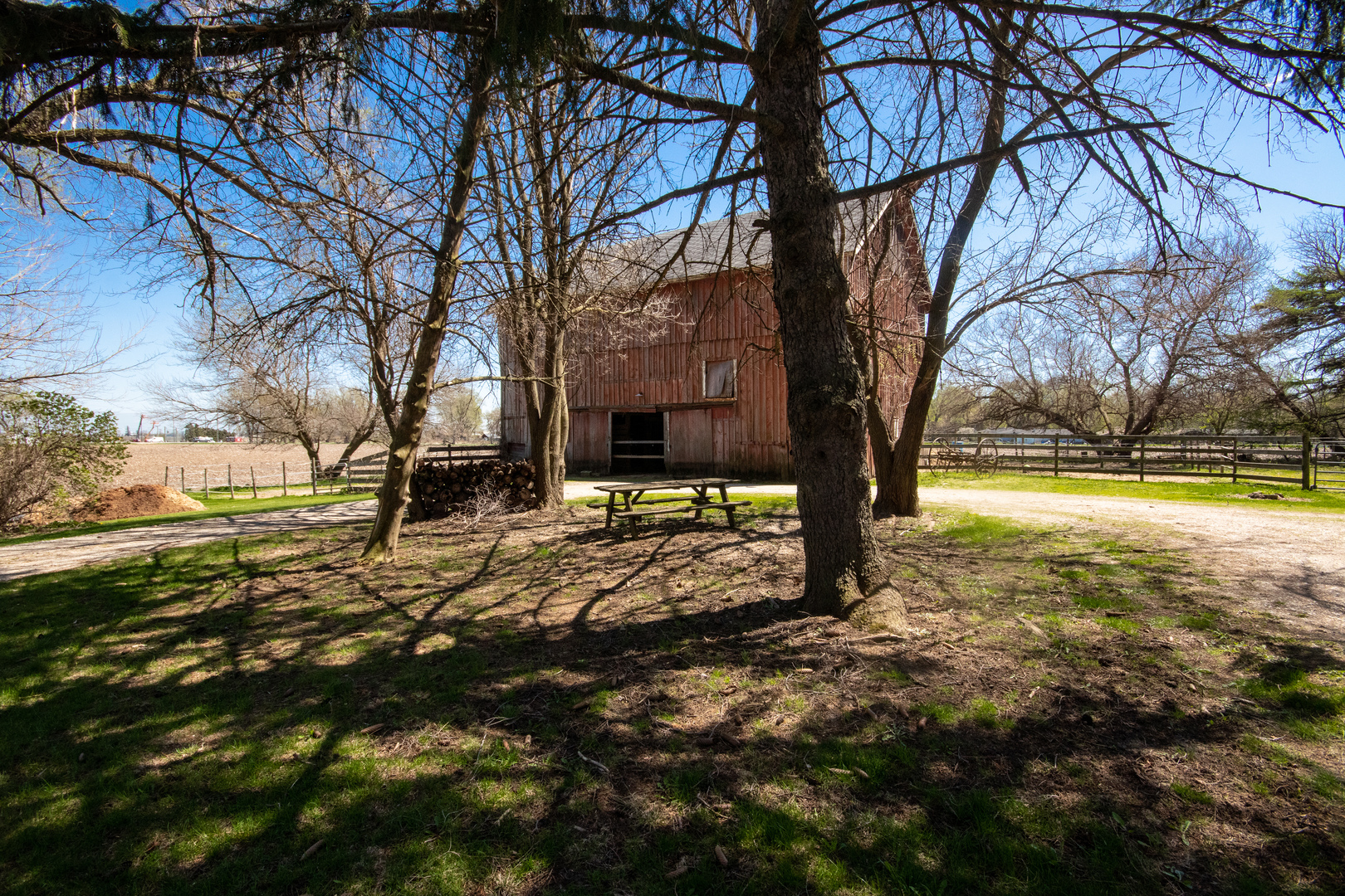 42W671 Jericho Road Sugar Grove, IL 60554 - Photo 10 of 31 a view of open space with trees