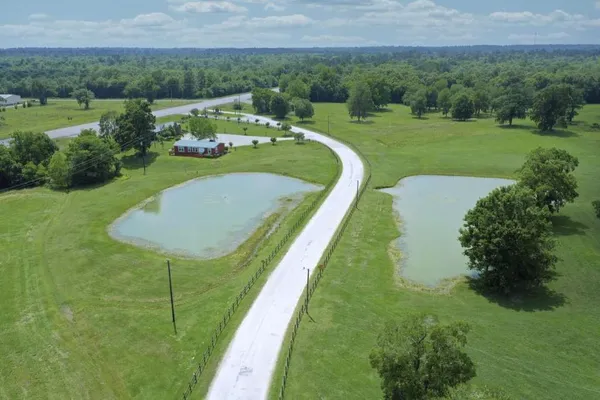 a view of outdoor space with signage and flags