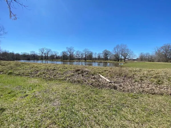 a view of a backyard with large trees