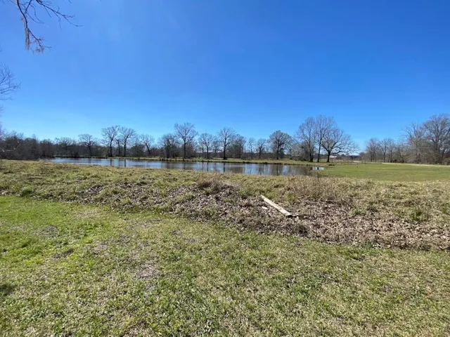 a view of a backyard with large trees