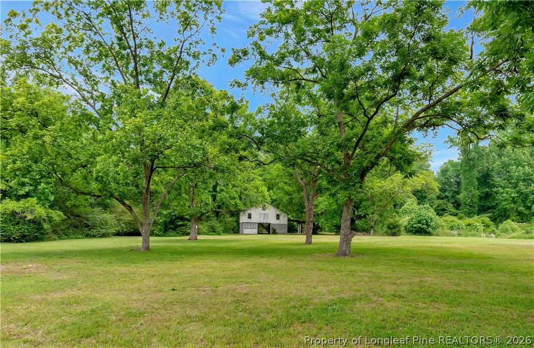 6290 Regan Church Road Lumberton, NC 28358 - Photo 44 of 44