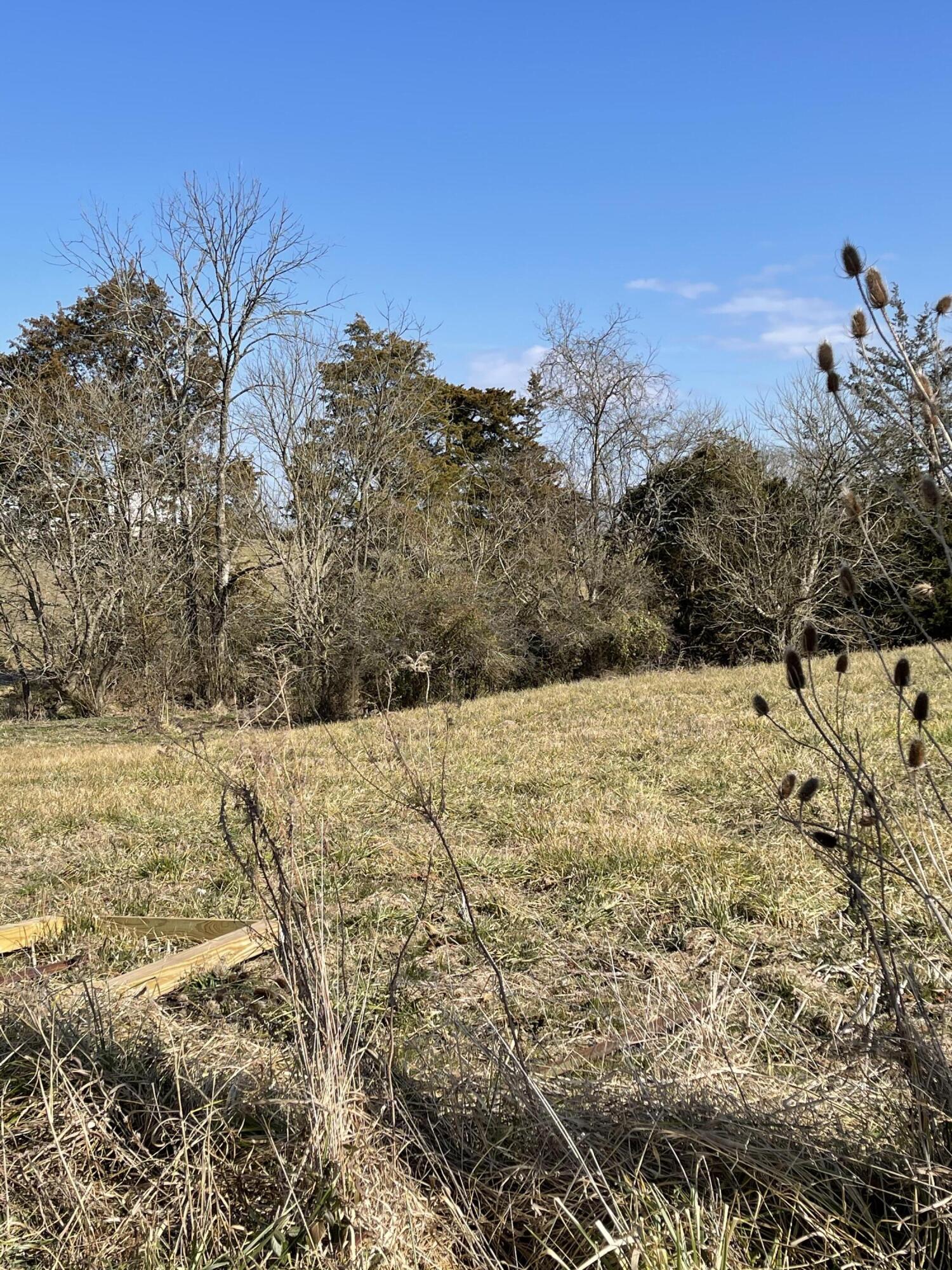 Lot 52 Lee Road, Unit 52 Mohawk, TN 37810 - Photo 4 of 4 IMG_0492