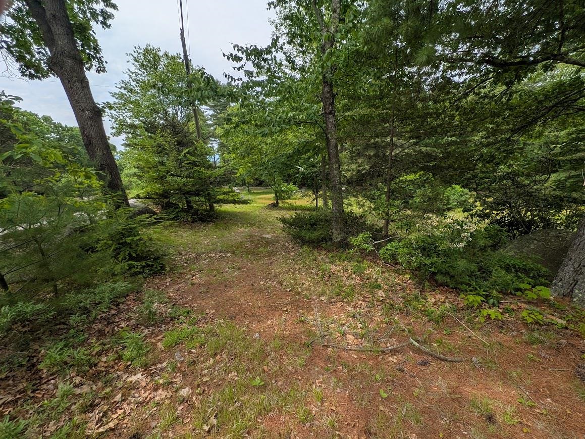 258 Bolton Road Winchester, NH 03470 - Photo 6 of 18
