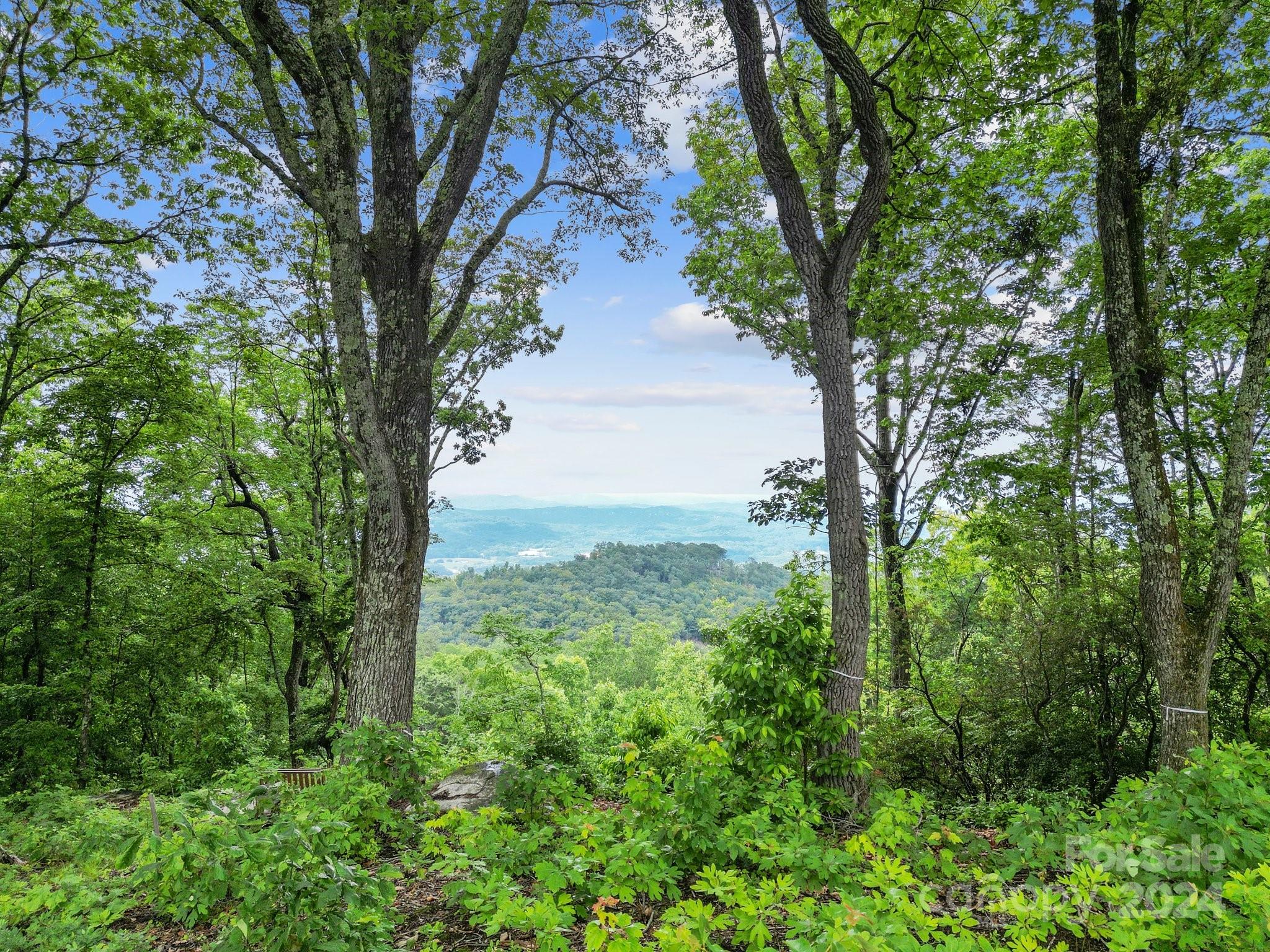 Lot 50 Mountain Grv Ln Unit 50