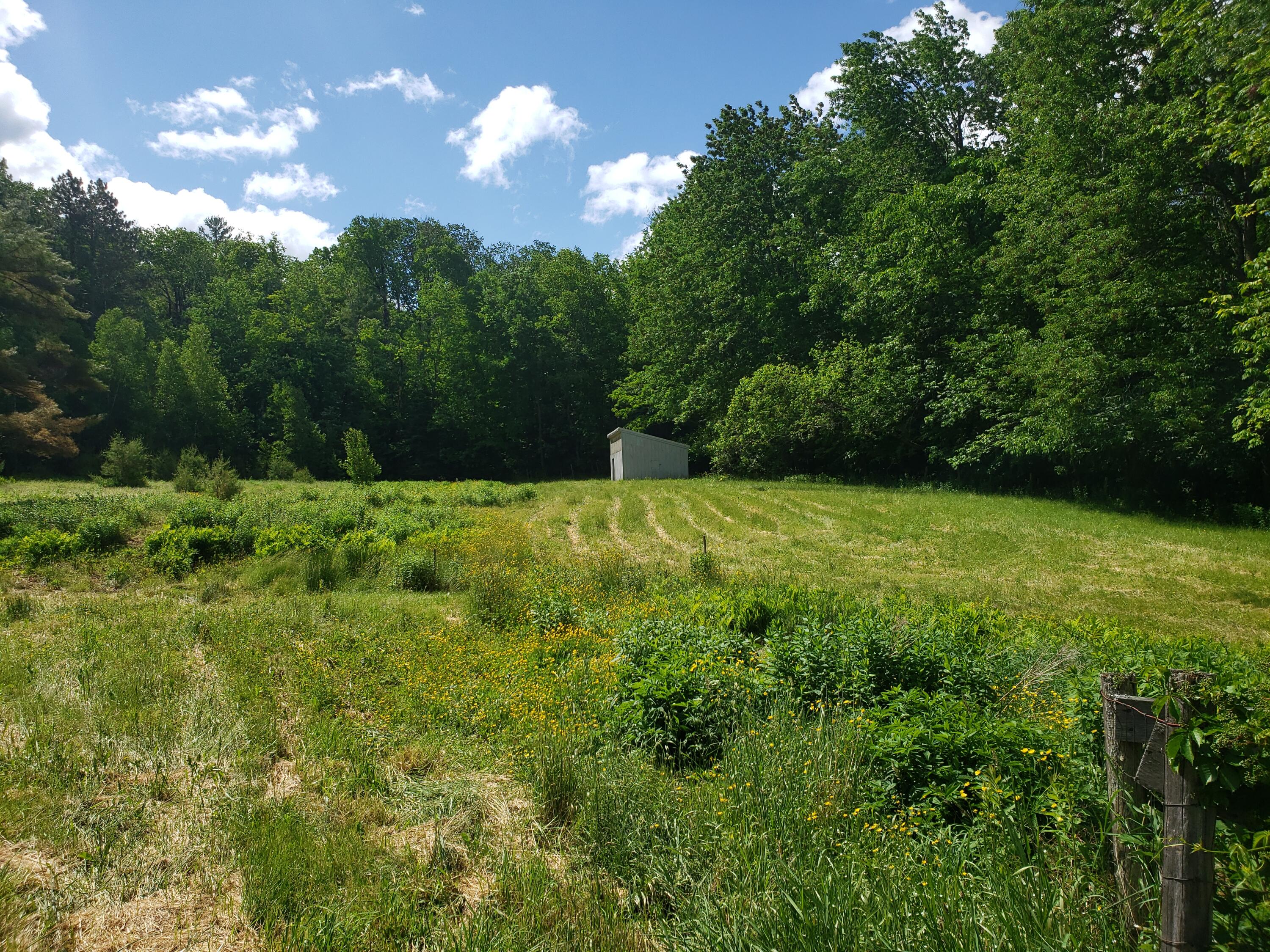 1567 Franklin Road Jay, ME 04239 - Photo 69 of 77 20220614_101742