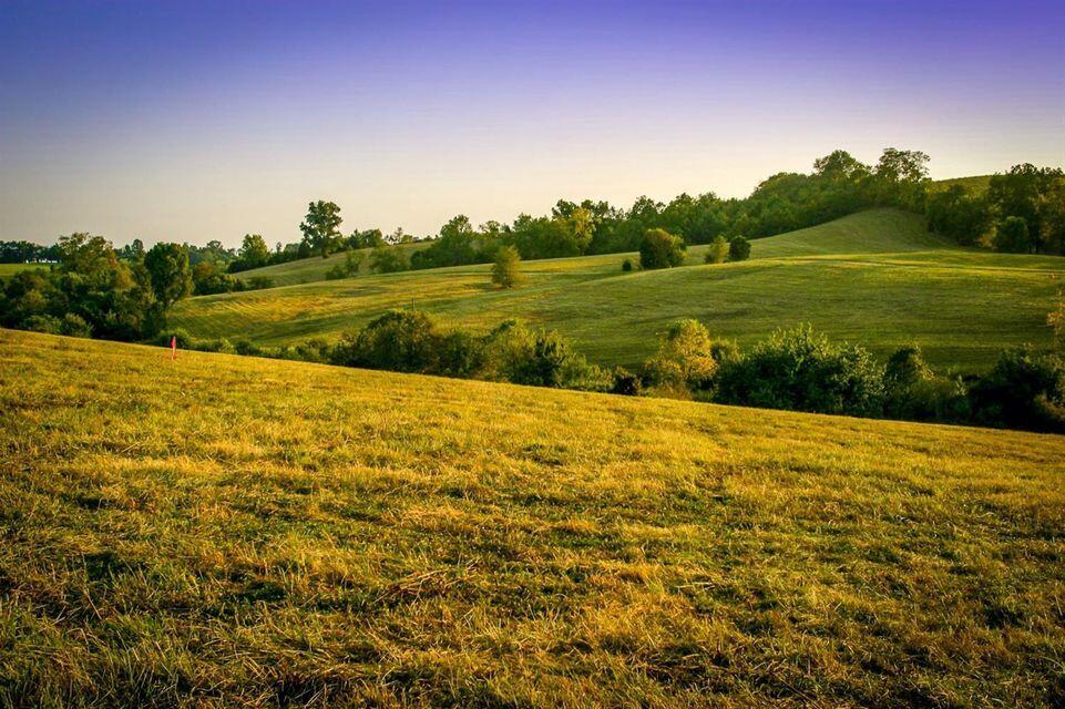0 Deer Chase Road Danville, KY 40422 - Photo 4 of 21 pic 4