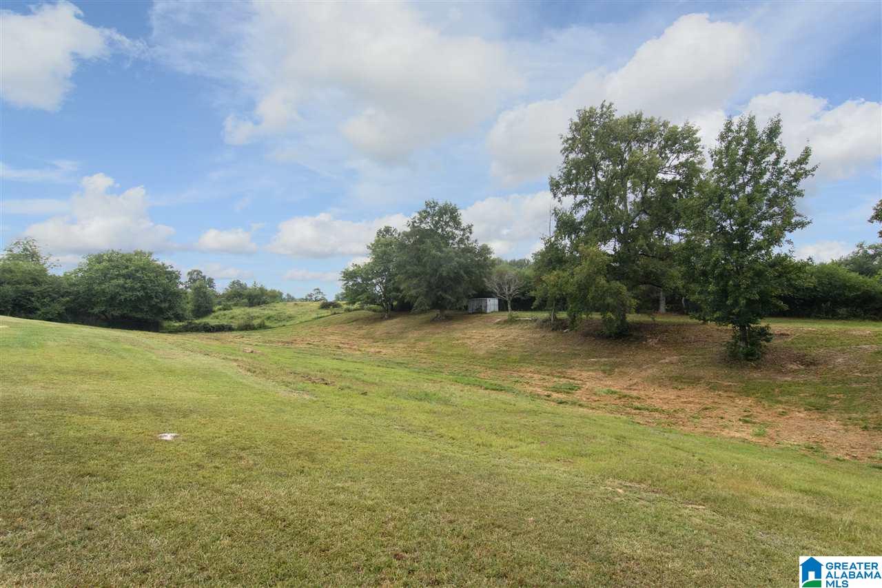 46559 Highway 231 Oneonta, AL 35121 - Photo 34 of 39