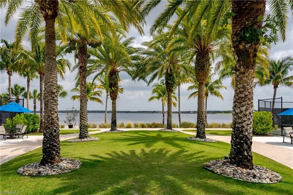a view of a fountain in a yard with palm trees