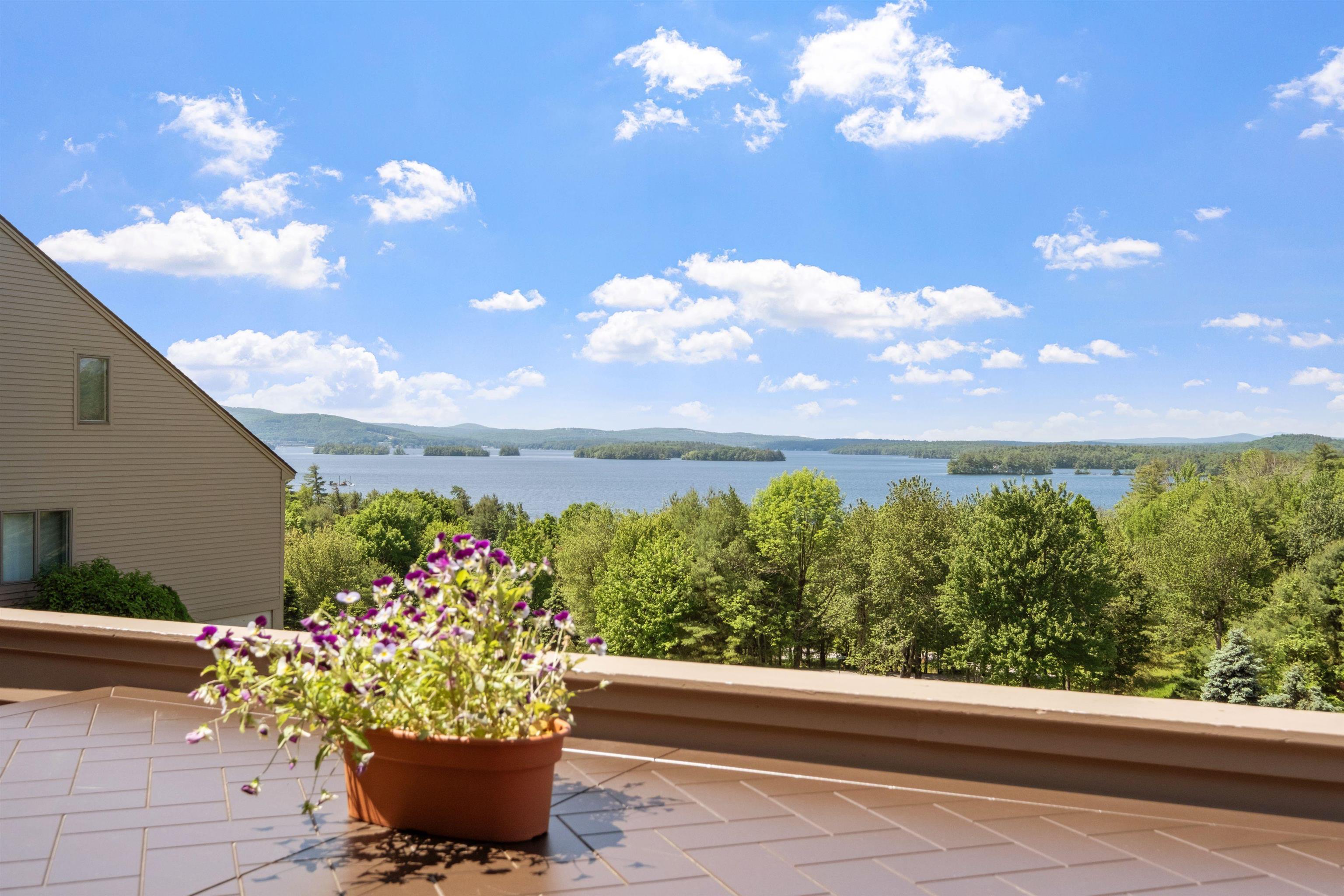 12 Topside Road, Unit 1 Moultonborough, NH 03254 - Photo 39 of 60 Gallery Image 39