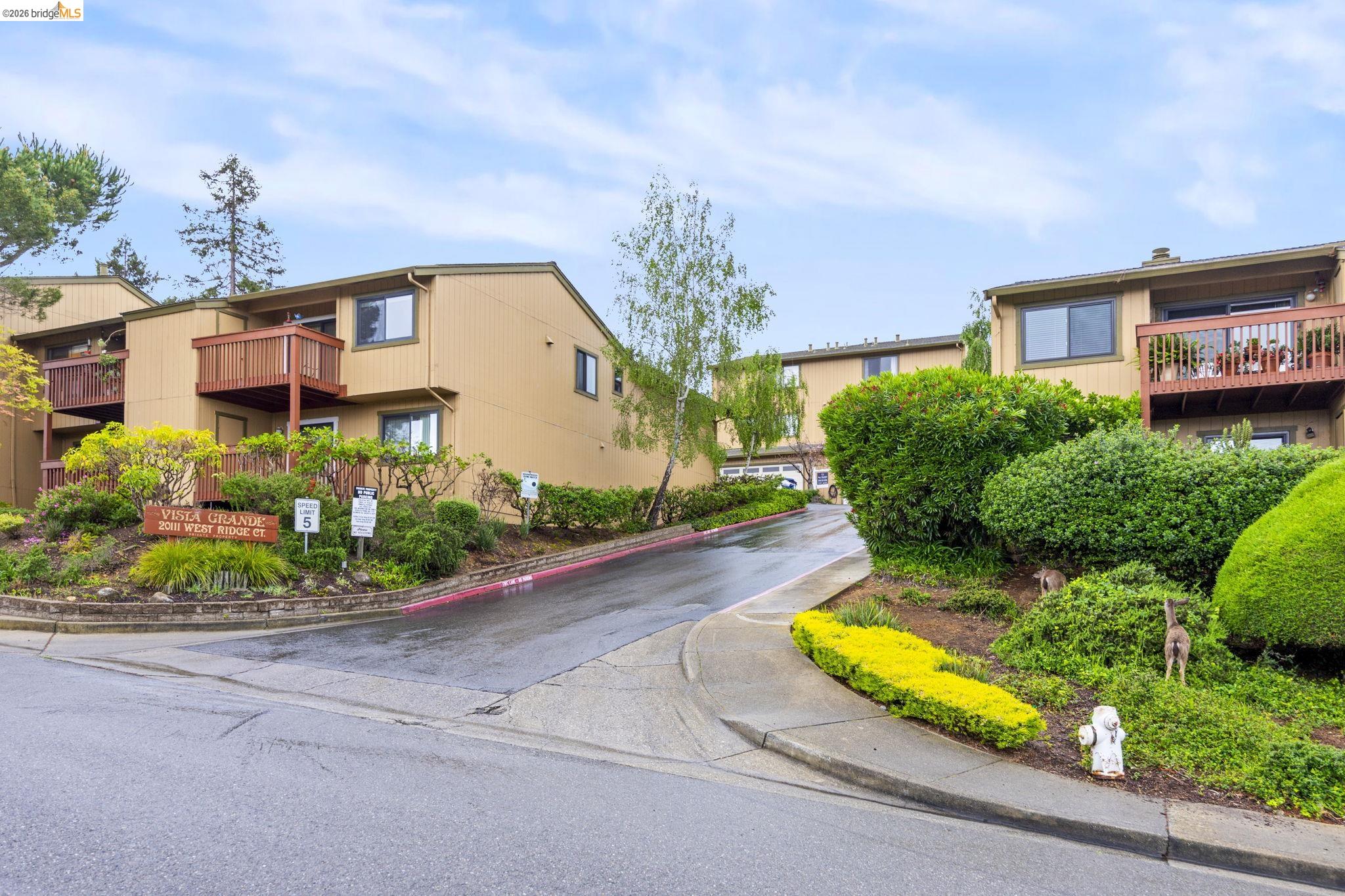 20111 West Ridge Court, Unit 13 Castro Valley, CA 94546 - Photo 50 of 50 View of asphalt road with curbs