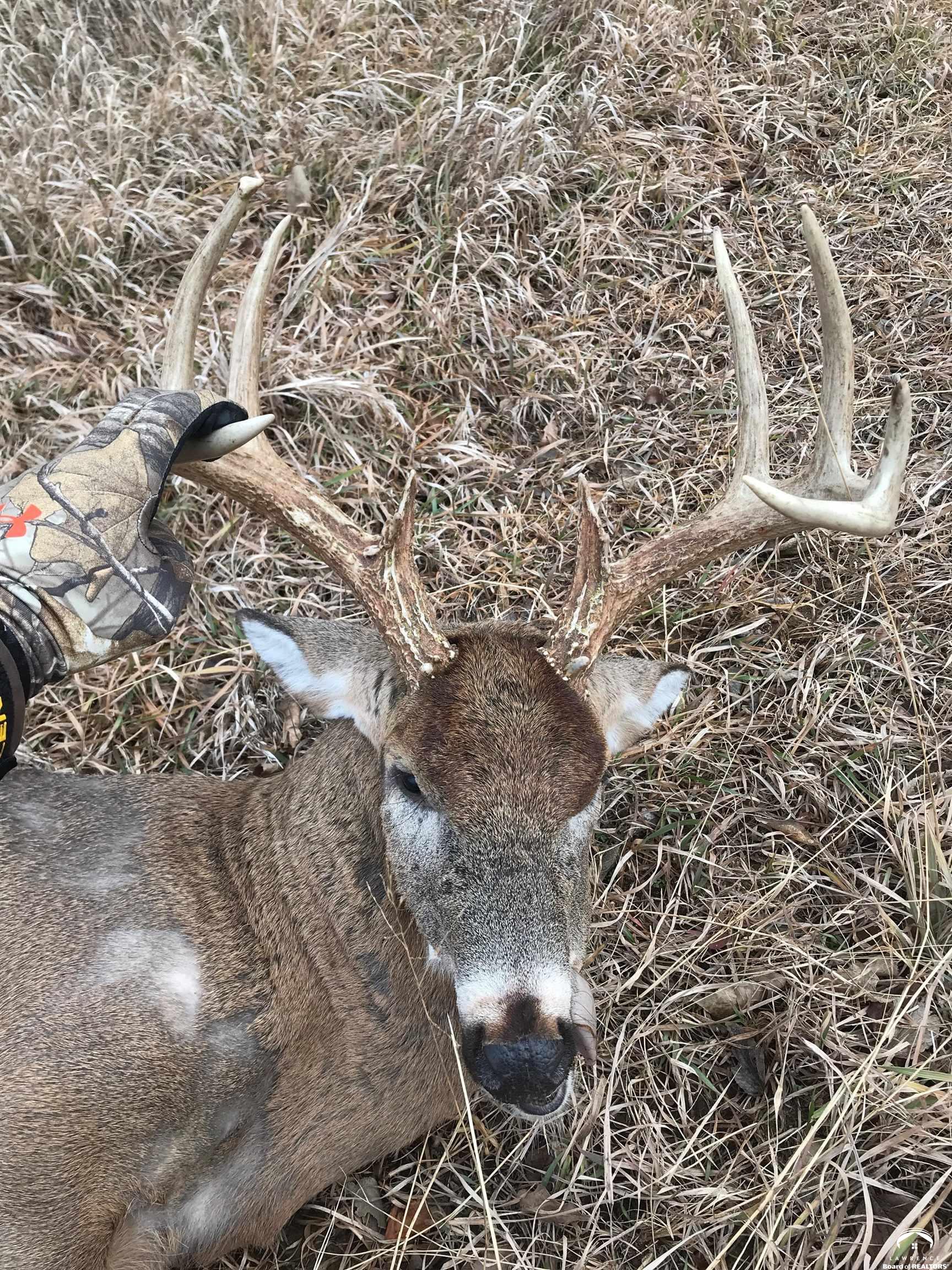 770 East 1300th Road Lawrence, KS 66046 - Photo 49 of 62