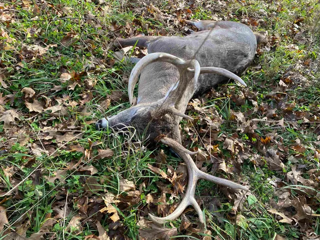 $4,990,000 | 770 East 1300th Road, Lawrence, KS 66046