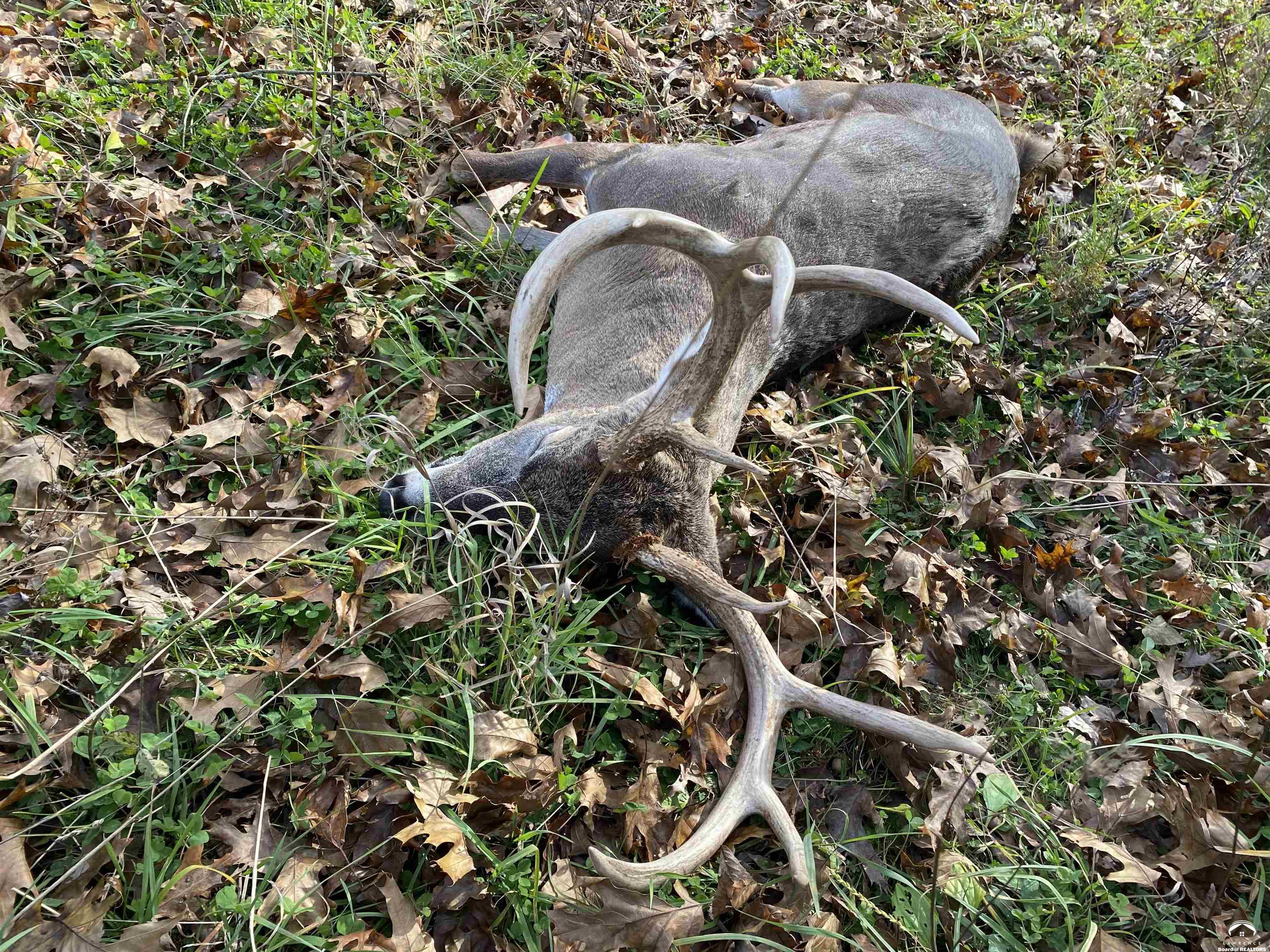 770 East 1300th Road Lawrence, KS 66046 - Photo 50 of 62