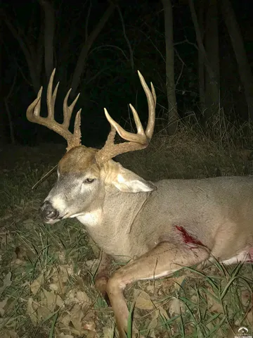 $4,990,000 | 770 East 1300th Road, Lawrence, KS 66046