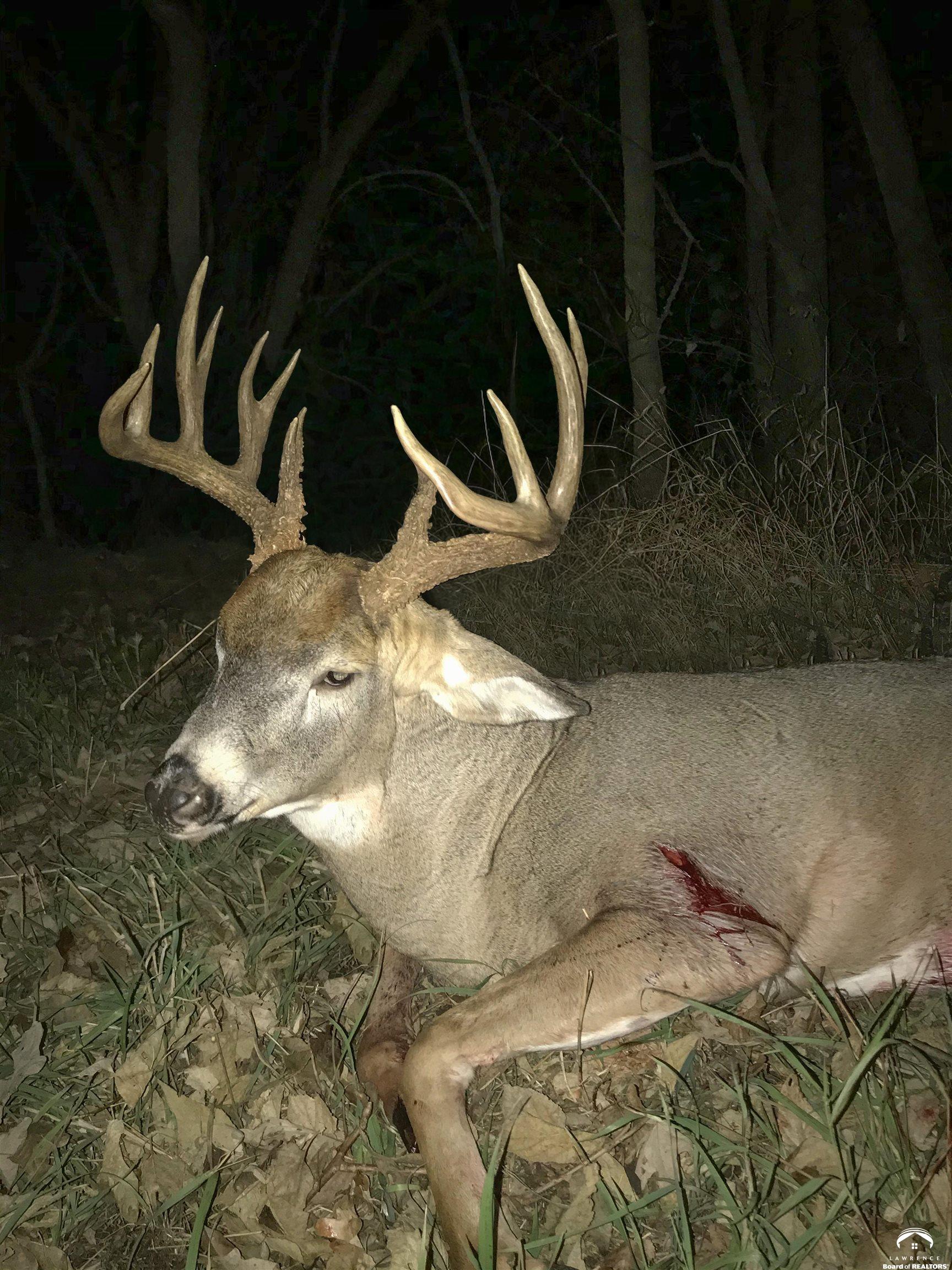 770 East 1300th Road Lawrence, KS 66046 - Photo 52 of 62