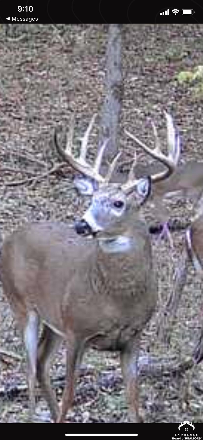 770 East 1300th Road Lawrence, KS 66046 - Photo 53 of 62