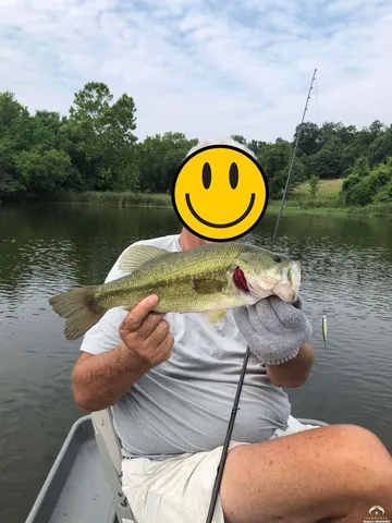 $4,990,000 | 770 East 1300th Road, Lawrence, KS 66046