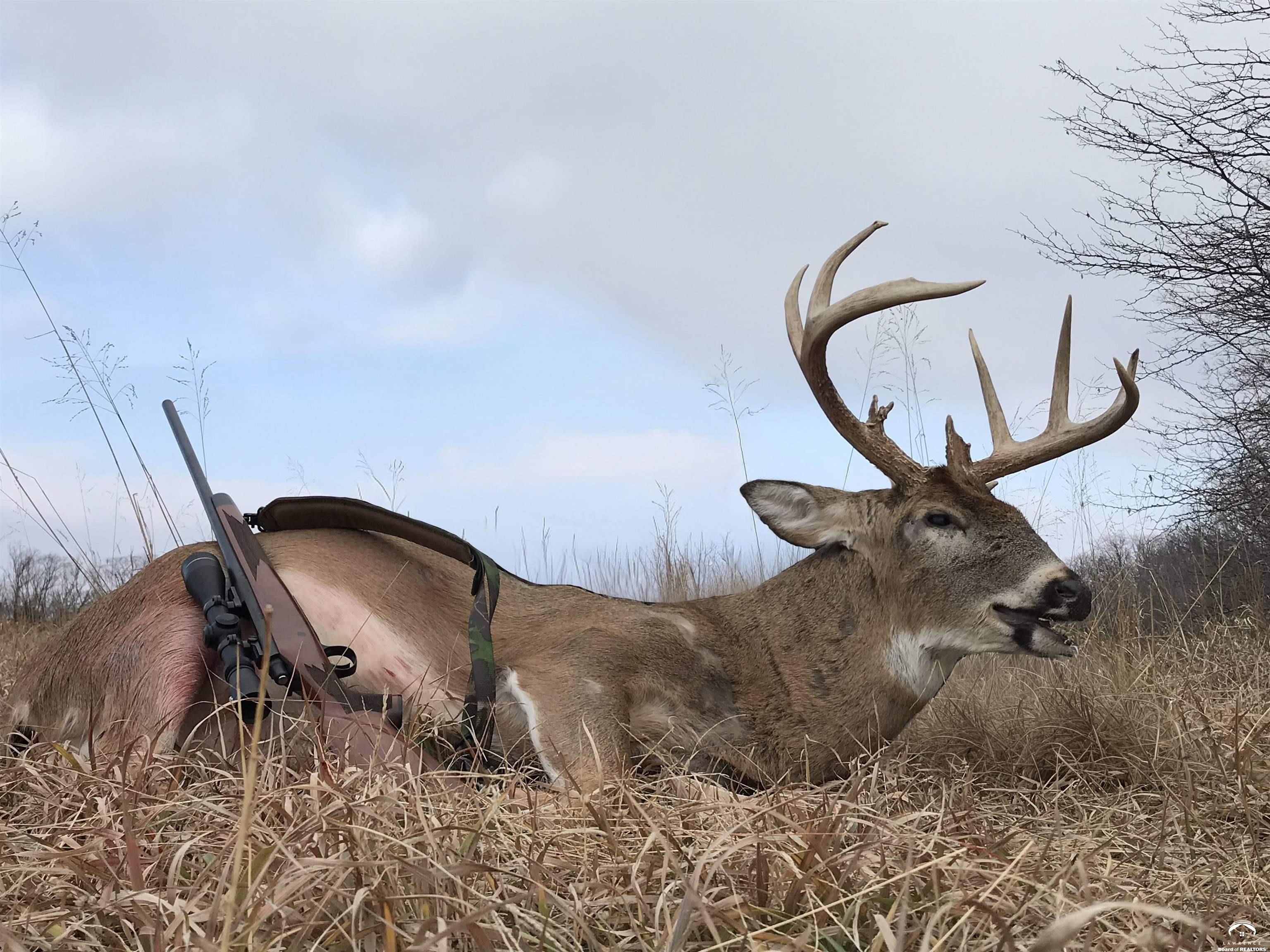 770 East 1300th Road Lawrence, KS 66046 - Photo 59 of 62