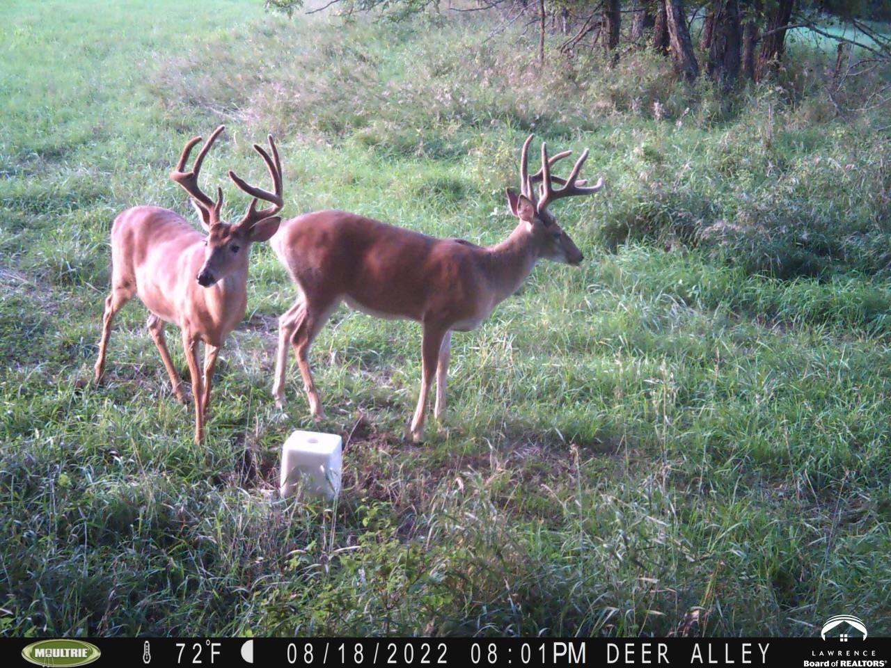 770 East 1300th Road Lawrence, KS 66046 - Photo 61 of 62