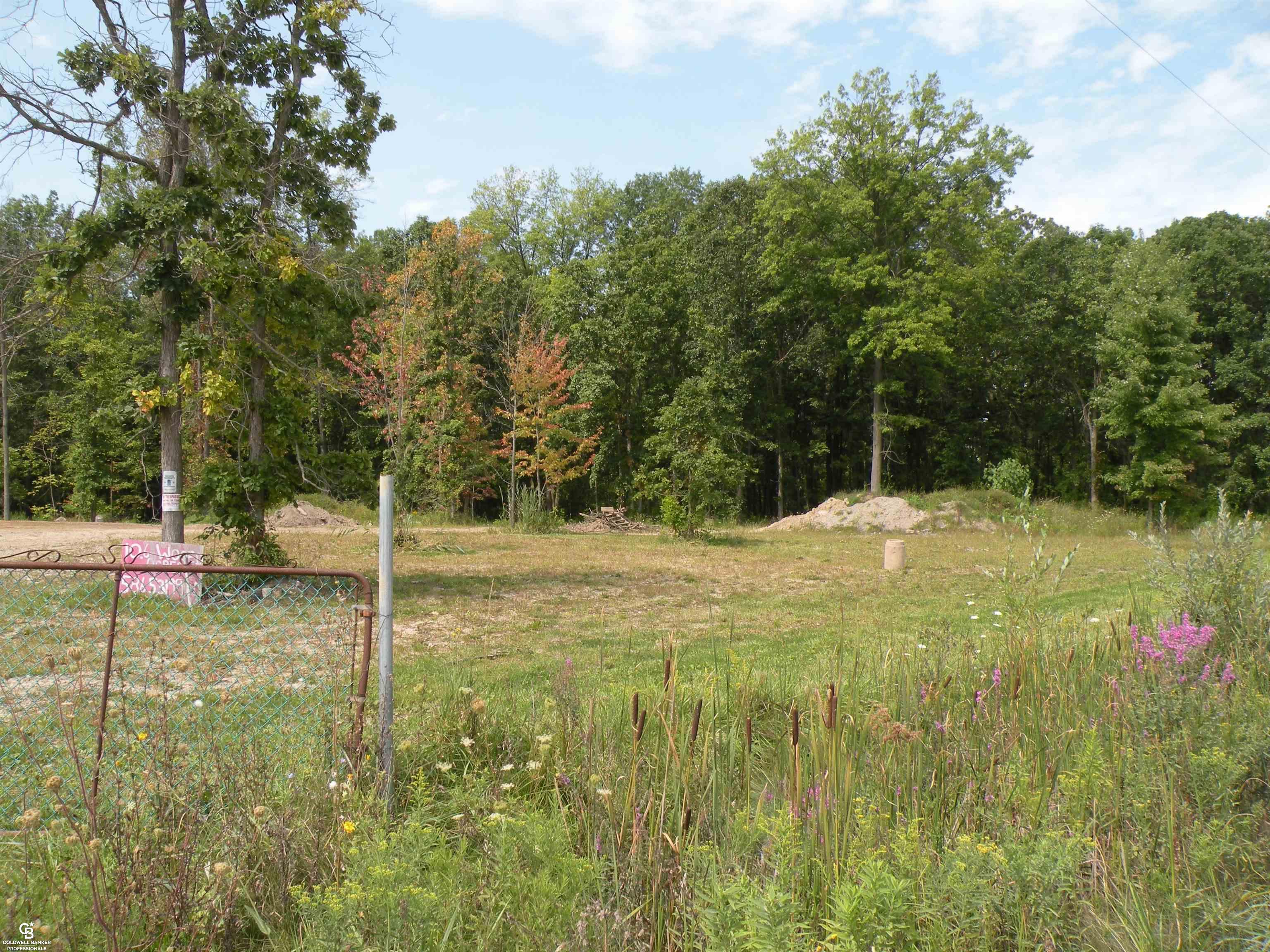 0 Meldrum Road Casco, MI 48064 - Photo 15 of 18 50120547-14.JPG